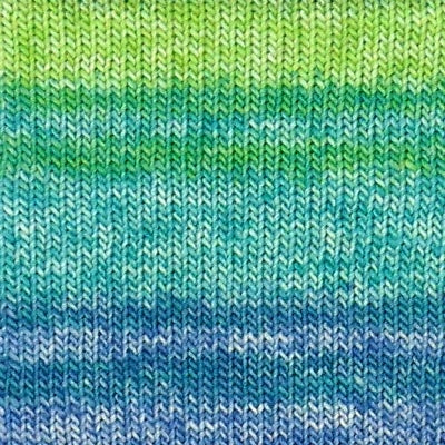 Charger l'image dans la galerie, Evolution Sock - laine de mérinos pour chaussettes