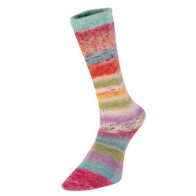 Evolution Celebration Sock - laine pour chaussettes