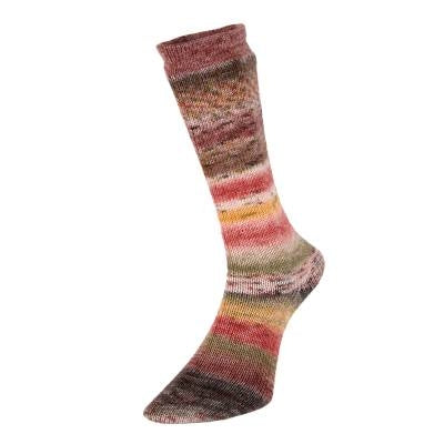 Charger l&#39;image dans la galerie, Evolution Celebration Sock - laine pour chaussettes
